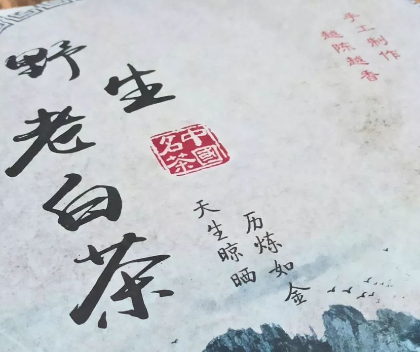 Dzika, Biała Herbata (Ciastko Herbaciane)